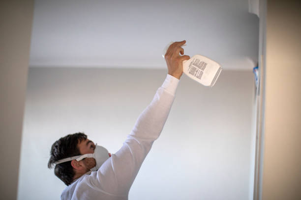 Best Attic Mold Removal  in Percy, IL