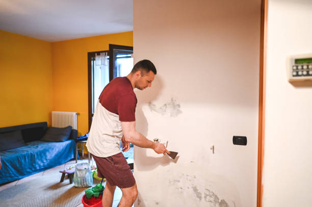 Best Mold Remediation  in Percy, IL